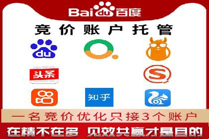 竞价推广公司案例：实战技巧与策略